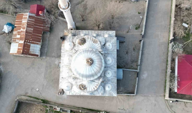 Leylekler 10 yıldır aynı camide yuvalarını kuruyor