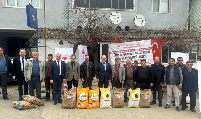 Malkara'da yerli ayçiçeği tohumu dağıtımı