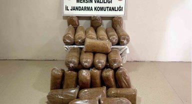 Mersin'de 290 kilo kaçak tütün ele geçirildi
