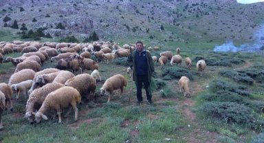 Mesaide müdür, tatilde çoban