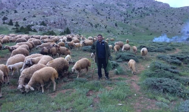 Mesaide müdür, tatilde çoban