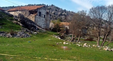 Mezarlık ziyaretine giden yaşlı kadına çoban köpekleri saldırdı