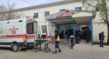 Muş'ta dereye düşen 7 yaşındaki çocuğu amcası kurtardı