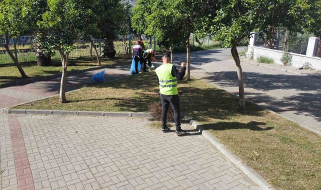 Nazilli'de yabani otlar temizleniyor