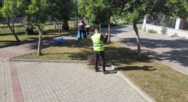 Nazilli'de yabani otlar temizleniyor