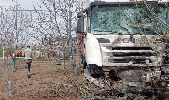 Niğde'de yoldan çıkan tır bahçeye daldı
