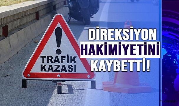 ÖNÜNE KÖPEK ÇIKAN OTOMOBİL SÜRÜCÜSÜ YARALANDI!