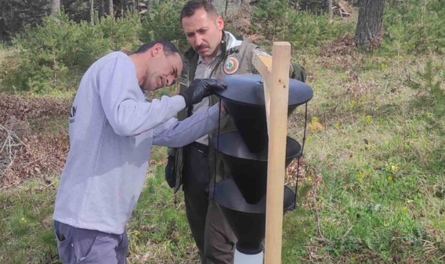Orman zararlılarına karşı biyoteknik mücadele