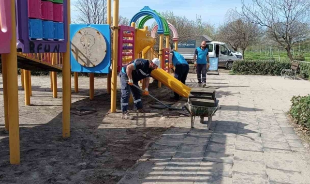 Parklara yaz bakımı