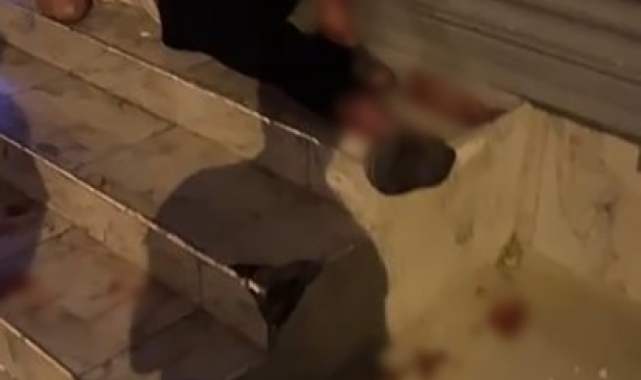 Pitbull silahla bile durdurulamamış
