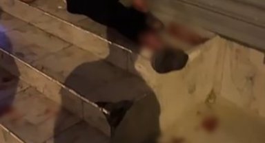 Pitbull silahla bile durdurulamamış