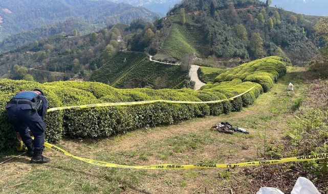 Rize'de çay bahçesinde erkek cesedi bulundu