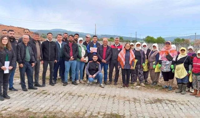 Sağlık ve kazançlı ürün için salkım güvesine karşı mücadele başlatıldı
