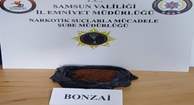 Samsun'da uyuşturucu operasyonunda 10 kişi yakalandı