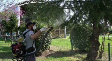 Samsun'da 25 bin noktada vektörle mücadele