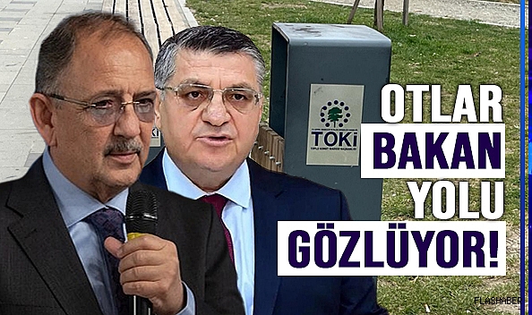 SEÇİM BİTTİ OTLAR PERİŞAN!