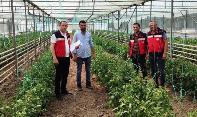 Simav'da yeni seraların tespitleri ve ürün kontrolleri