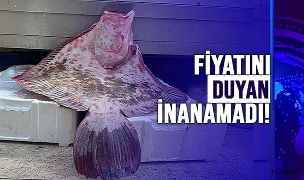 SİNOP’TA AĞA TAKILAN BALIK CÜSSESİYLE ŞOKE ETTİ!