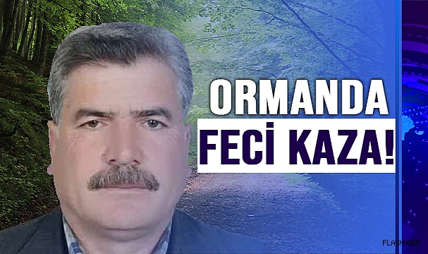 SİNOP'TA KAFASINA AĞAÇ PARÇASI DÜŞEN ORMAN İŞÇİSİ ÖLDÜ!