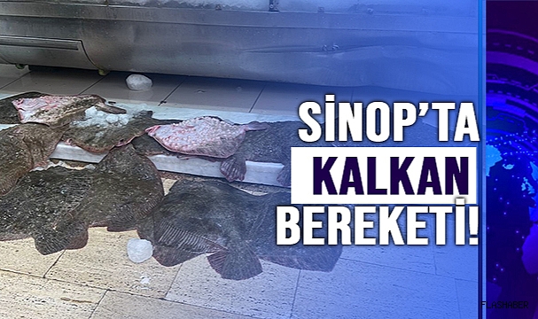 SİNOP’TA KALKAN YÜZ GÜLDÜRDÜ!