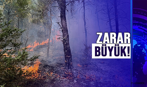 SİNOP’TA ORMAN YANGINI!