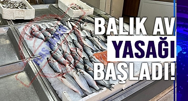 SİNOPLU BALIKÇILAR SEZONU DEĞERLENDİRDİ!