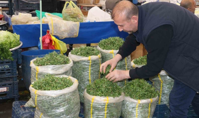 Sivaslı kadınlar artık madımak toplamak yerine pazardan satın alıyor