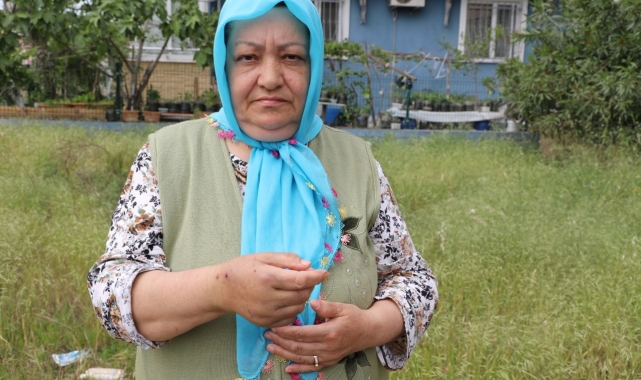 Sokak köpeklerinin saldırısına uğradı: O anları gözyaşlarıyla anlattı