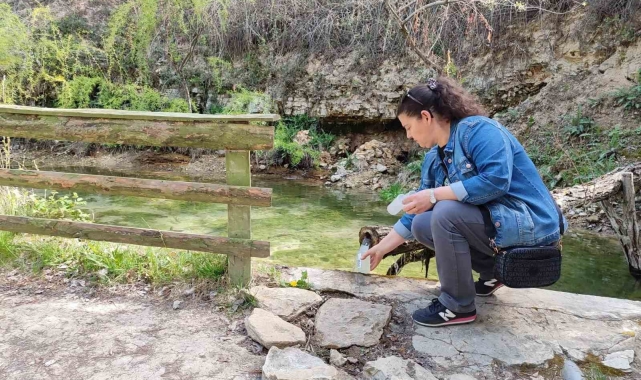 Sulak alanlarda tarımsal kaynaklı kirliliğin izlenmesi çalışması yapıldı