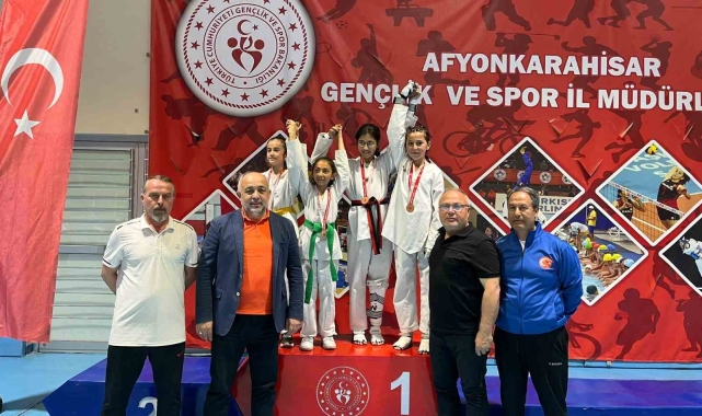 Taekwondo il şampiyonası tamamlandı