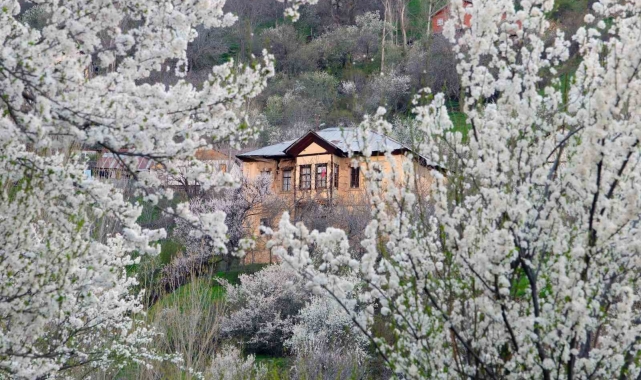 Tarihi mahallede bahar güzelliği