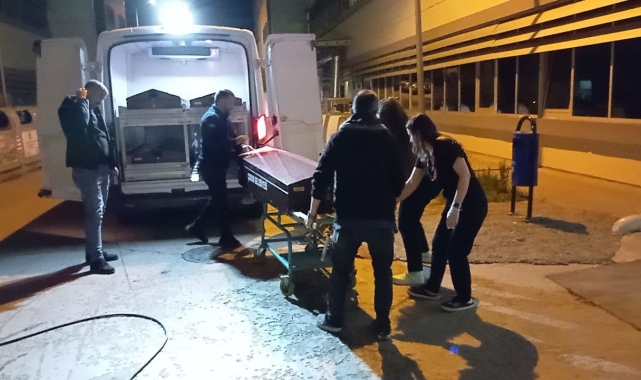 Tatil için çıktıkları yolda kaza yaptılar: 1 ölü, 1 yaralı