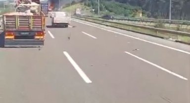 Tır'ın dorsesi seyir halinde alevlere teslim oldu