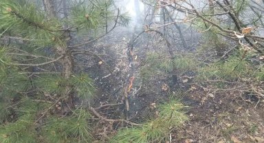 Tokat ormanlık alanda çıkan yangın söndürüldü