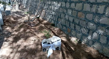 Torunu tarafından öldürülen anneanne son yolculuğuna uğurlandı
