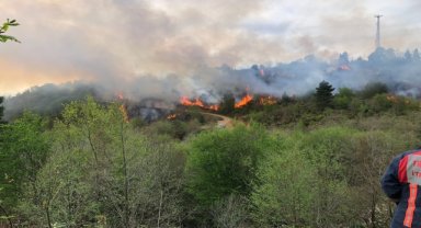 Trabzon-Giresun sınırındaki örtü yangını kontrol altına alındı