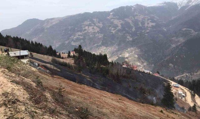 Trabzon'da orman yangını