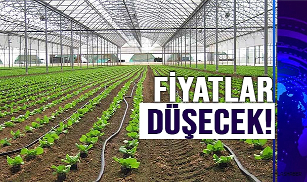 TZOB BAŞKANI BAYRAKTAR:" SERA ÜRÜNLERİNDE FİYATLAR DÜŞÜYOR"