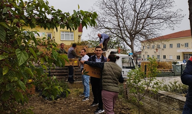 ÜRETİCİLERE FİDE DESTEĞİ DEVAM EDİYOR!