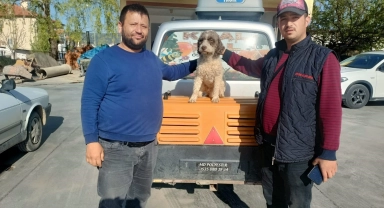 Uşak'ta kaybolan trüf mantarı avcısı 'Radar' bulundu
