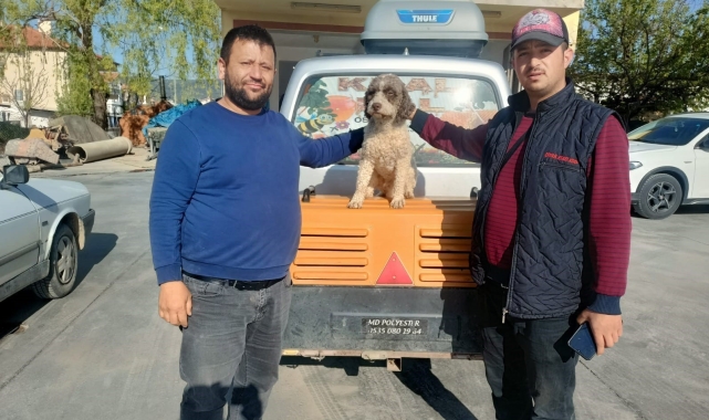 Uşak'ta kaybolan trüf mantarı avcısı 'Radar' bulundu
