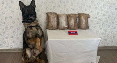 Uyuşturucu taciri otobüste yakalandı