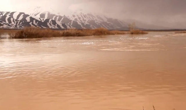 Yağışlar sonrası Yüksekova'nın ovası göle döndü