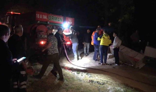 Yalova'da orman yangını