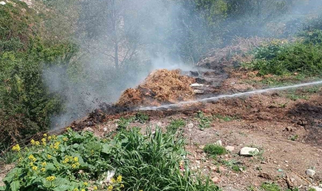 Yol kenarındaki çürümüş samanlar alev aldı