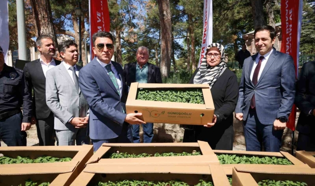 61 bin 780 adet 'Ata' tohumu gerçekleşti