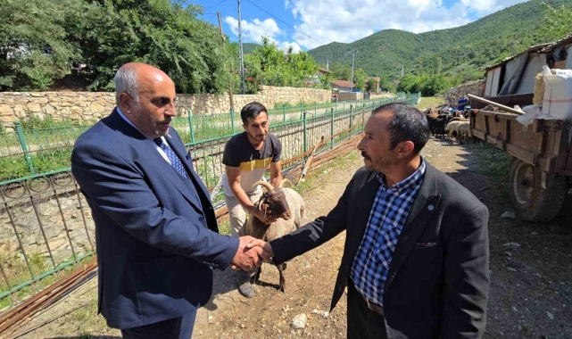 Ahırın lideri olan 4 boynuzlu koç, son başbakan Binali Yıldırım'a hediye edilecek