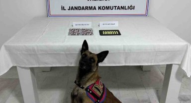 Aile boyu uyuşturucu taciri çıktılar