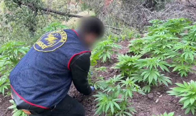 Akhisar'da uyuşturucu operasyonu