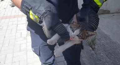 Alanya'da motosikletin içine sıkışan kedi 15 dakikalık çalışmayla kurtarıldı